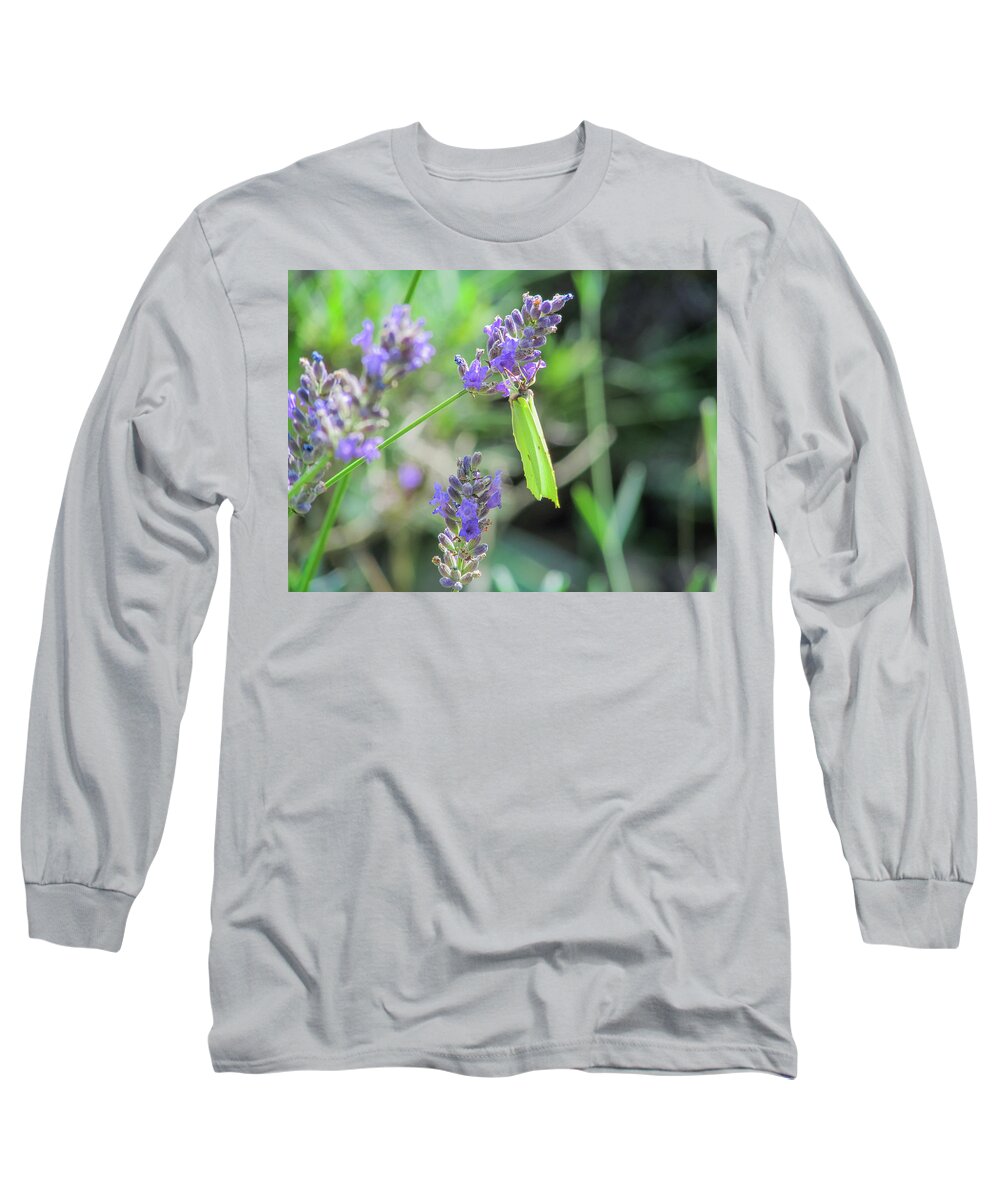 Sunflower Long Sleeve T-Shirt featuring the photograph Lavender Flower by Cesar Vieira