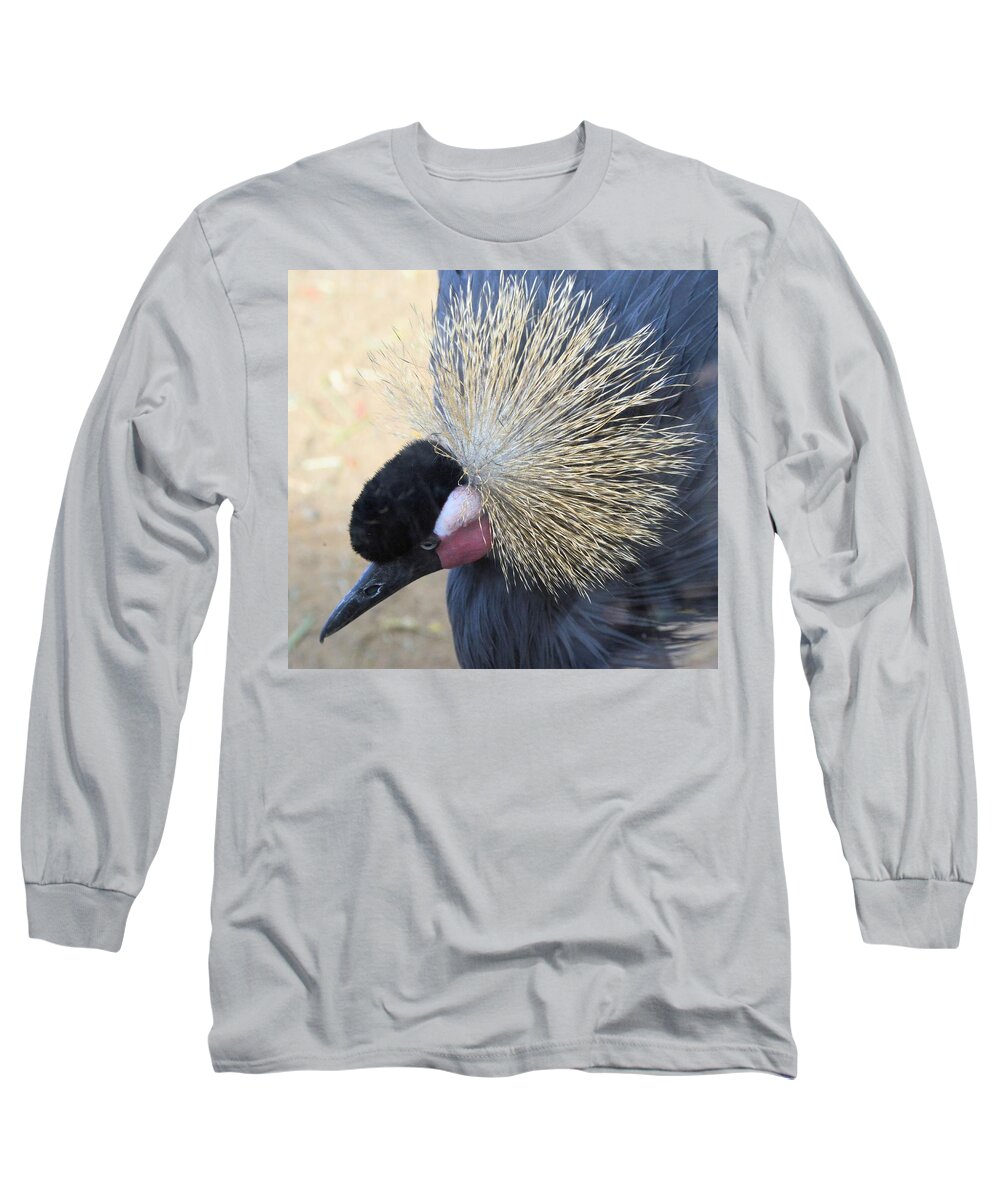 Animals Long Sleeve T-Shirt featuring the photograph Like My Hair? by Charles HALL
