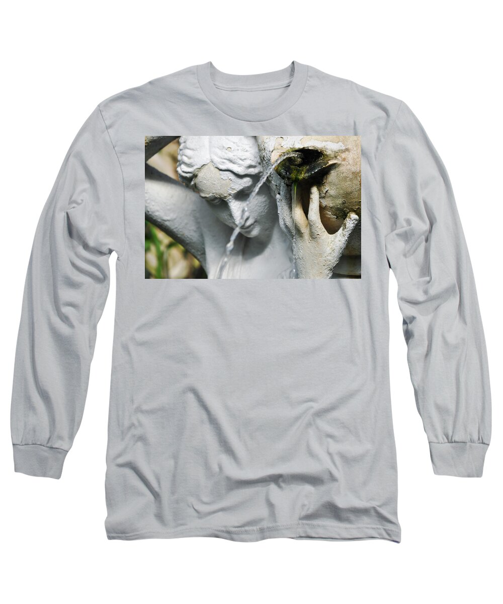 Lincoln Park Conservatory Long Sleeve T-Shirt featuring the photograph Lincoln Park Conservatory Fountain by Kyle Hanson