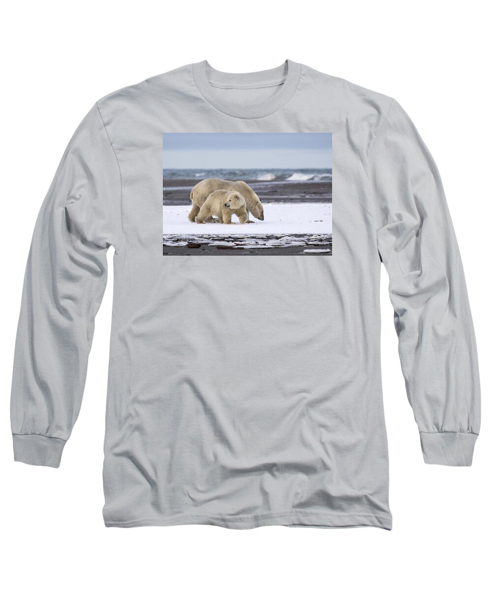 Animal Long Sleeve T-Shirt featuring the photograph Looking Back in the Arctic by Cheryl Strahl