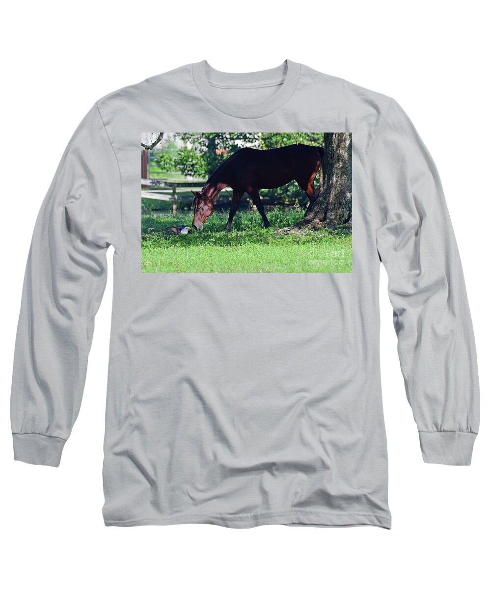  Long Sleeve T-Shirt featuring the photograph M15 and the Horse by Liz Grindstaff