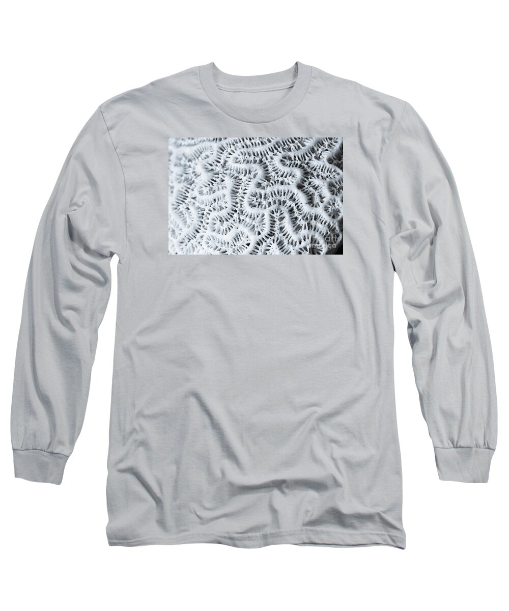 Dead Long Sleeve T-Shirt featuring the digital art Macro of sunbleached piece of dead coral, by Perry Van Munster