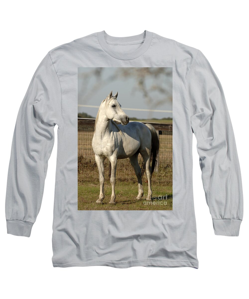 Magic Long Sleeve T-Shirt featuring the photograph Magic #2 by Carien Schippers