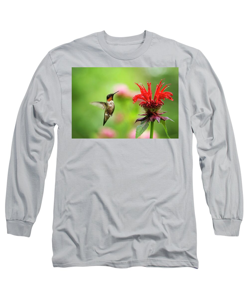 Hummingbird Long Sleeve T-Shirt featuring the photograph Male Ruby-Throated Hummingbird Hovering Near Flowers by Christina Rollo