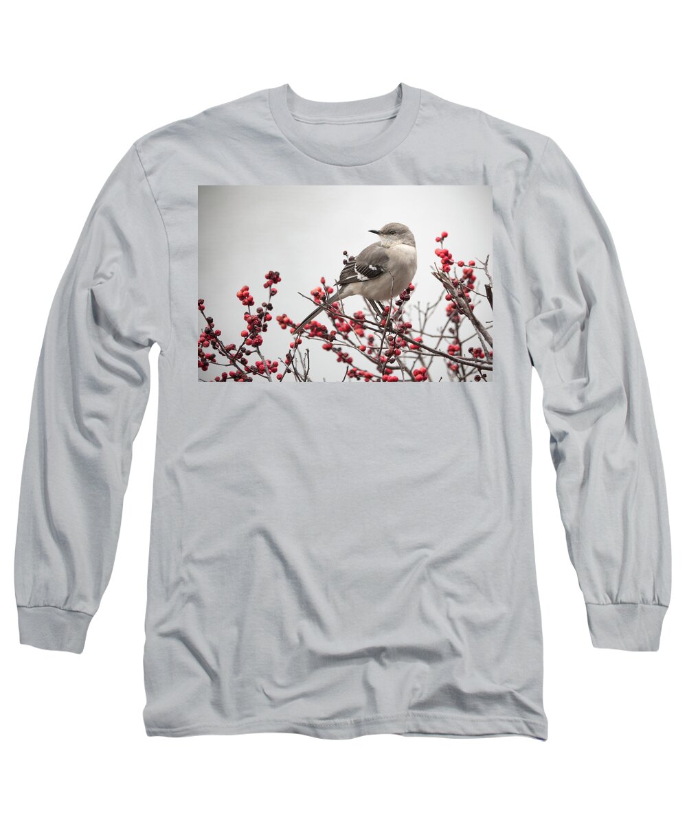 Winter Long Sleeve T-Shirt featuring the photograph Mockingbird and Berries by Jack Nevitt