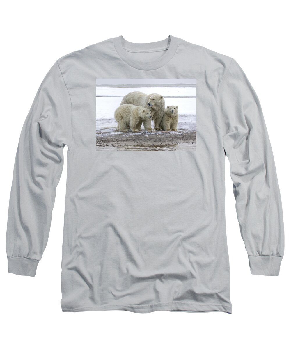 Animal Long Sleeve T-Shirt featuring the photograph Mother and Cubs in the Arctic by Cheryl Strahl