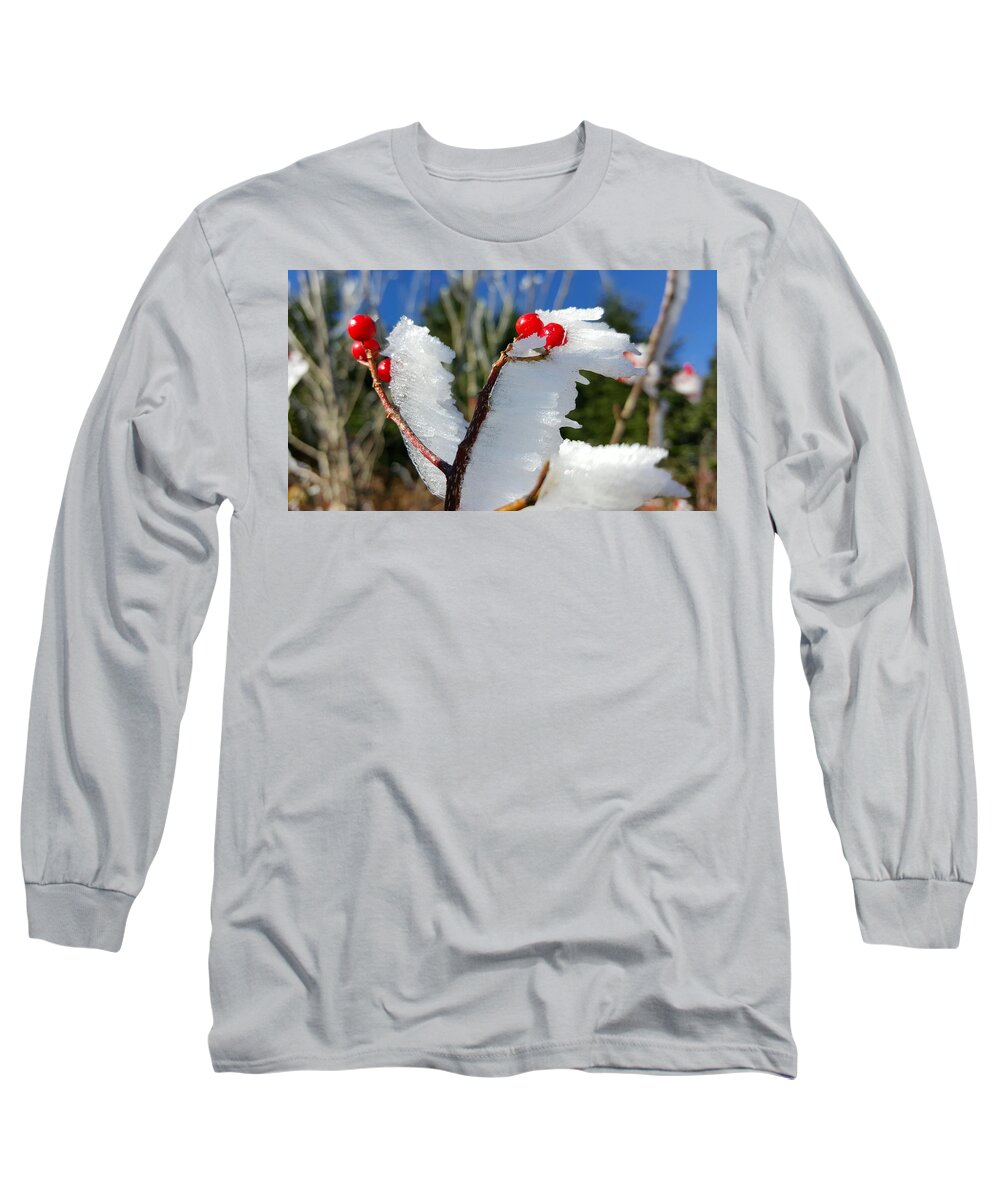 Frost Formations Long Sleeve T-Shirt featuring the photograph Mount Mitchell Frost 07 by William Slider