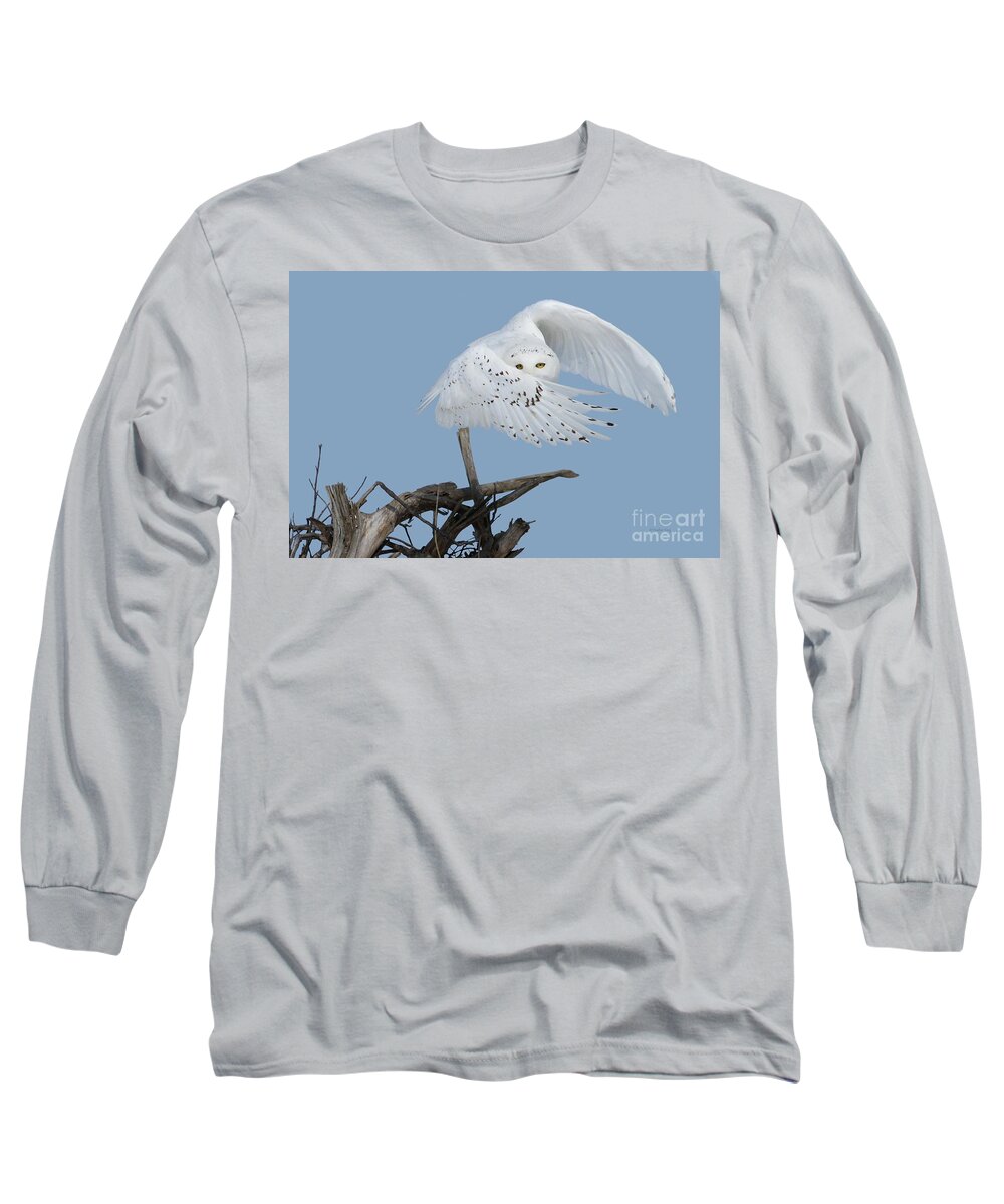 Wildlife Photography Long Sleeve T-Shirt featuring the photograph Peek - A - Boo by Heather King