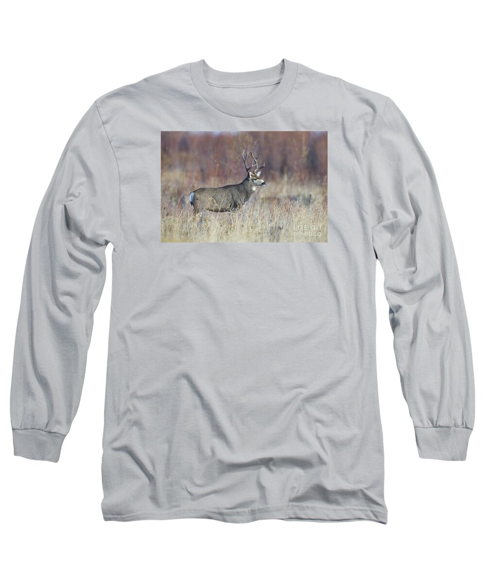 Buck Long Sleeve T-Shirt featuring the photograph On the River Bank by Douglas Kikendall