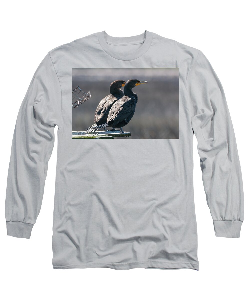 Double-crested Cormorant Long Sleeve T-Shirt featuring the photograph Pair Double-Crested Cormorant 3 March 2018 by D K Wall