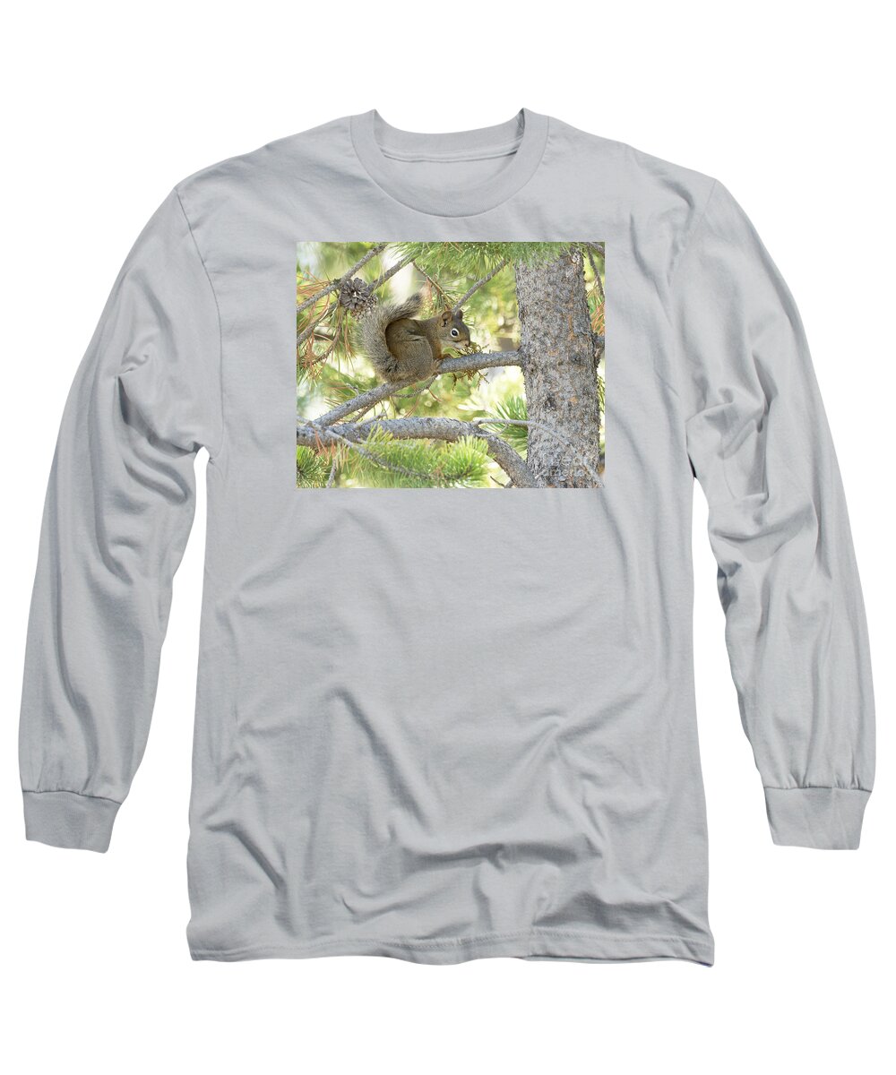 Mammal Long Sleeve T-Shirt featuring the photograph Pine Squirrel by Dennis Hammer