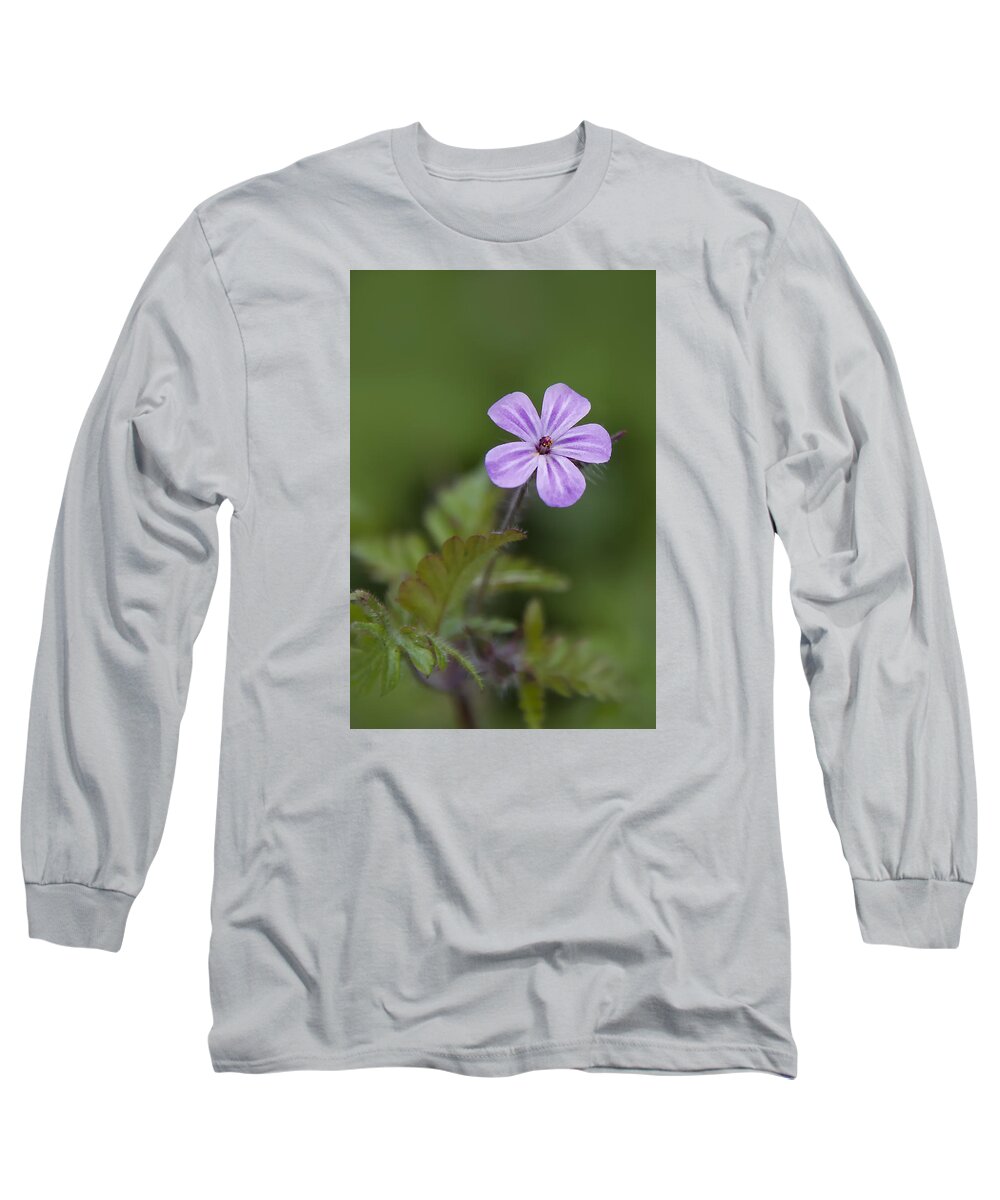 Phlox Subulata (moss Phlox Long Sleeve T-Shirt featuring the photograph Pink Phlox Wildflower by Ken Barrett