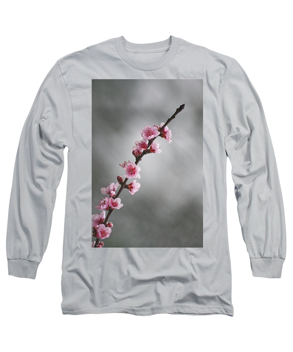 Flower Long Sleeve T-Shirt featuring the photograph Pink spring II by Paulo Goncalves
