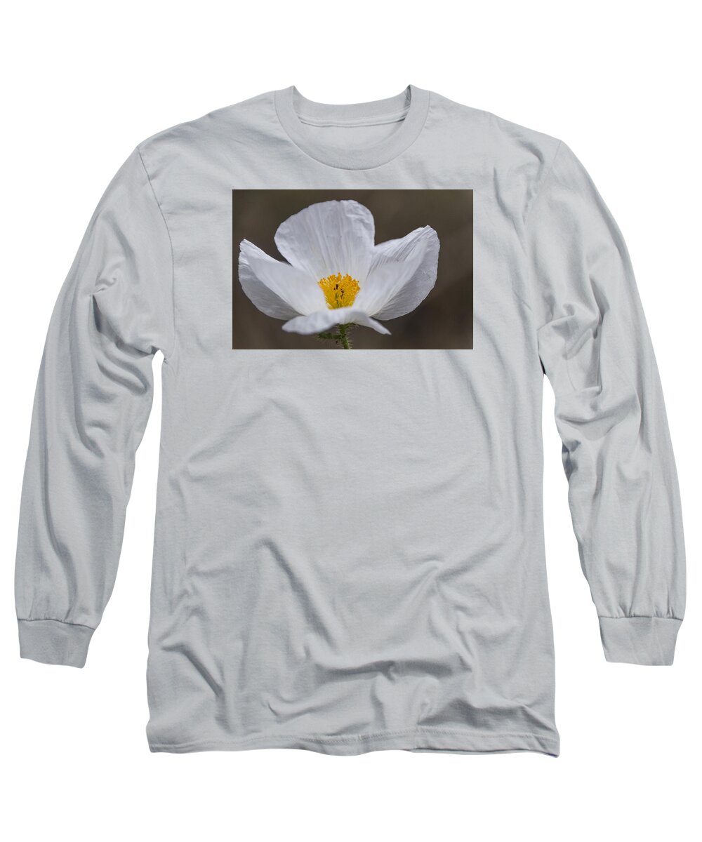 Prickly Poppy Long Sleeve T-Shirt featuring the photograph Prickly Poppy by Laura Pratt