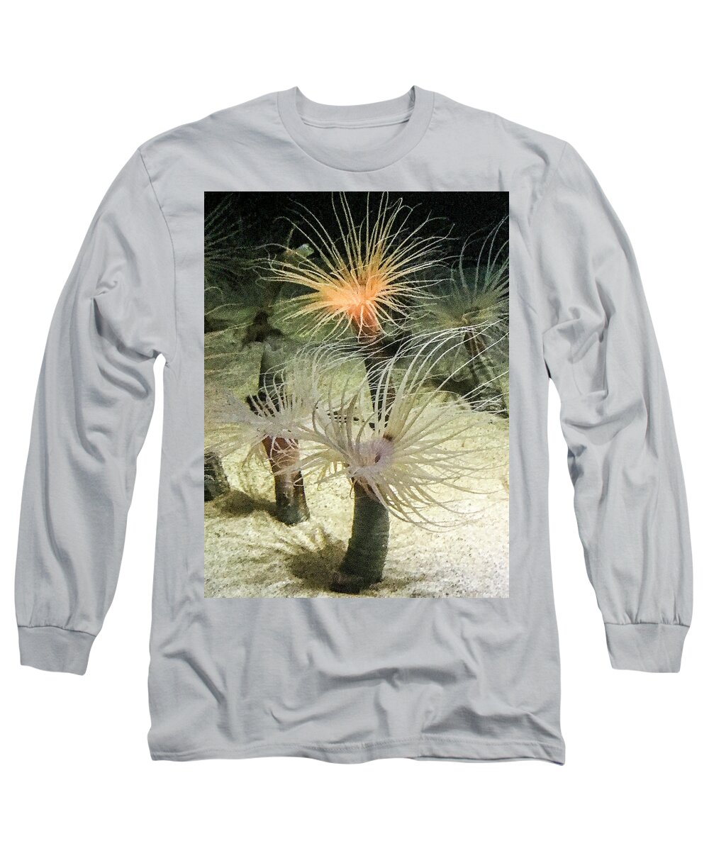  Sea Anemones Long Sleeve T-Shirt featuring the photograph Sea Flower by Daniel Hebard
