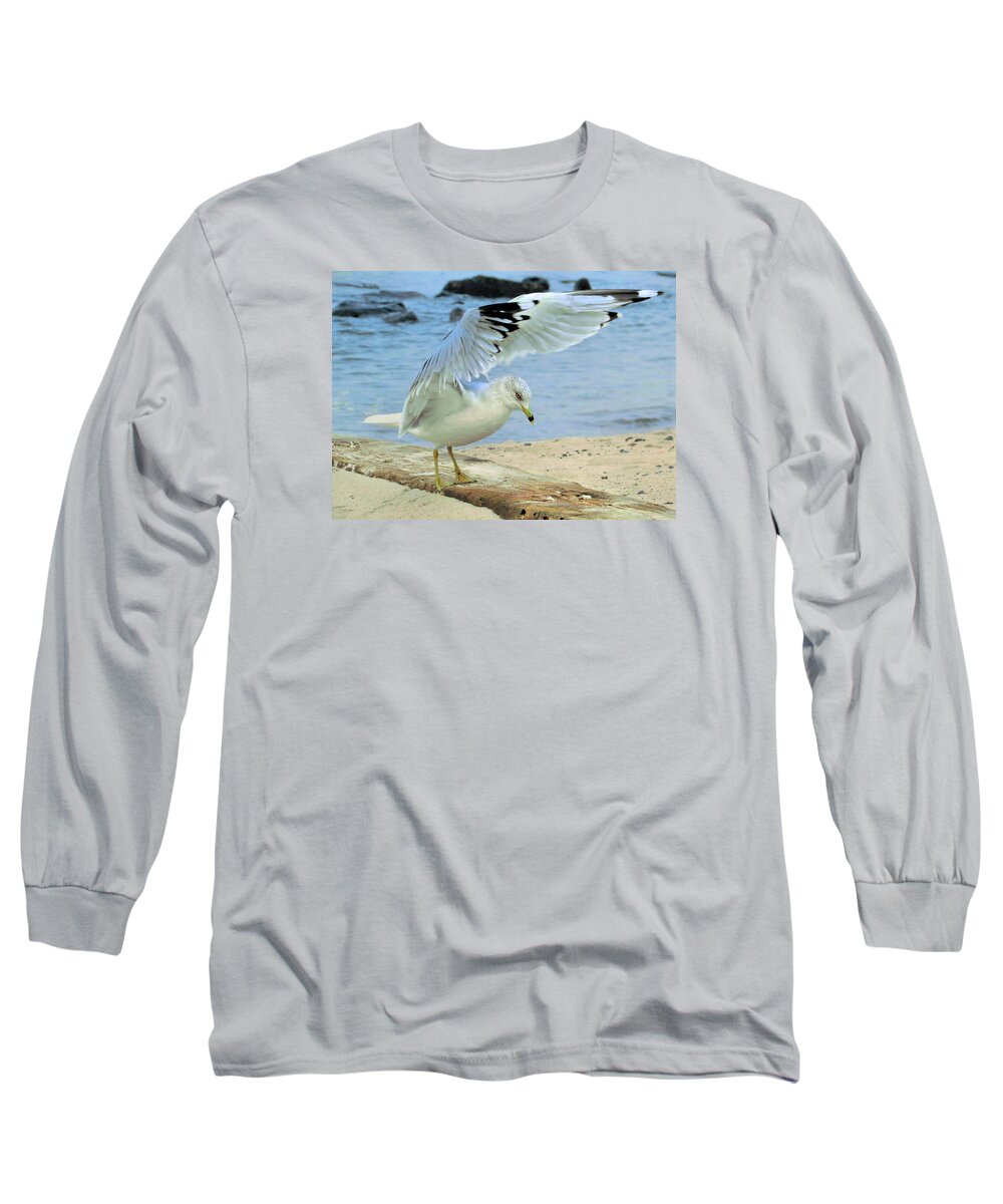 Seagull Long Sleeve T-Shirt featuring the photograph Seagull on the Beach by Nina Bradica