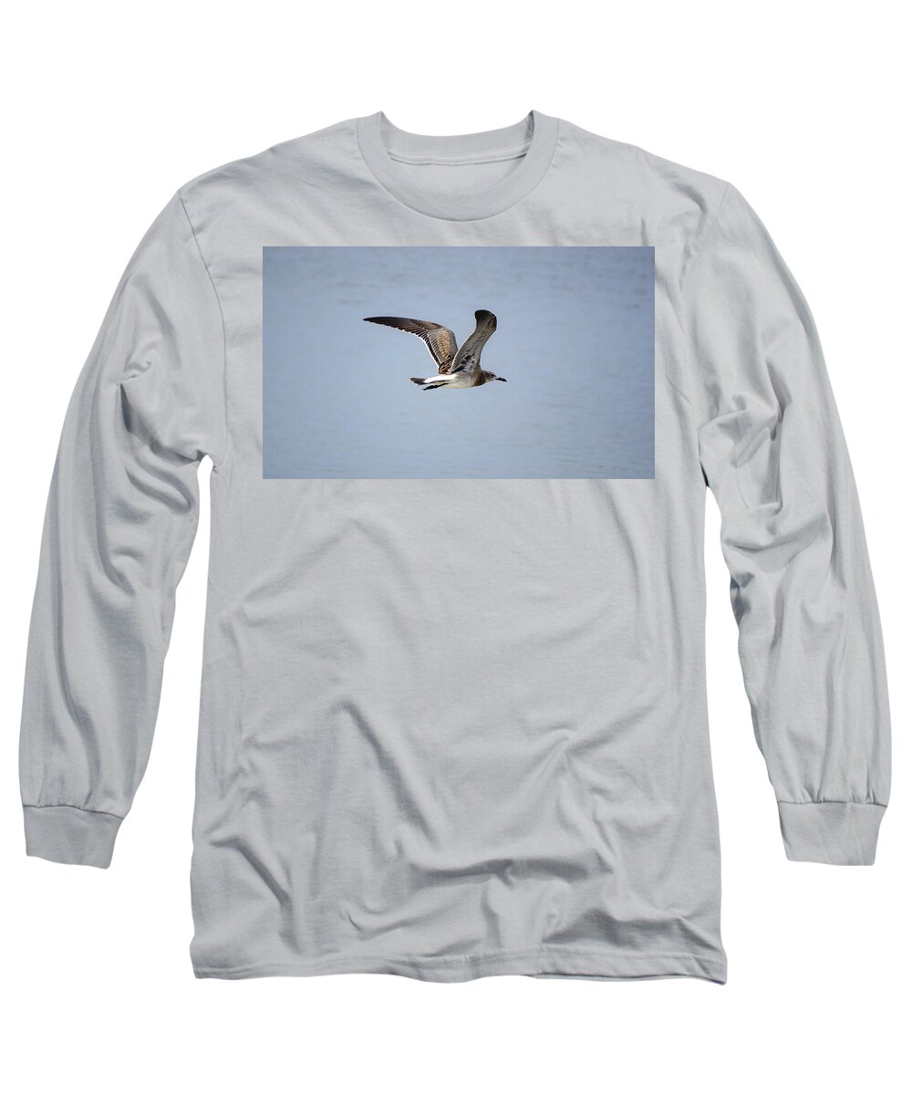 Seagull Long Sleeve T-Shirt featuring the photograph Skimming Seagull by Kenneth Albin