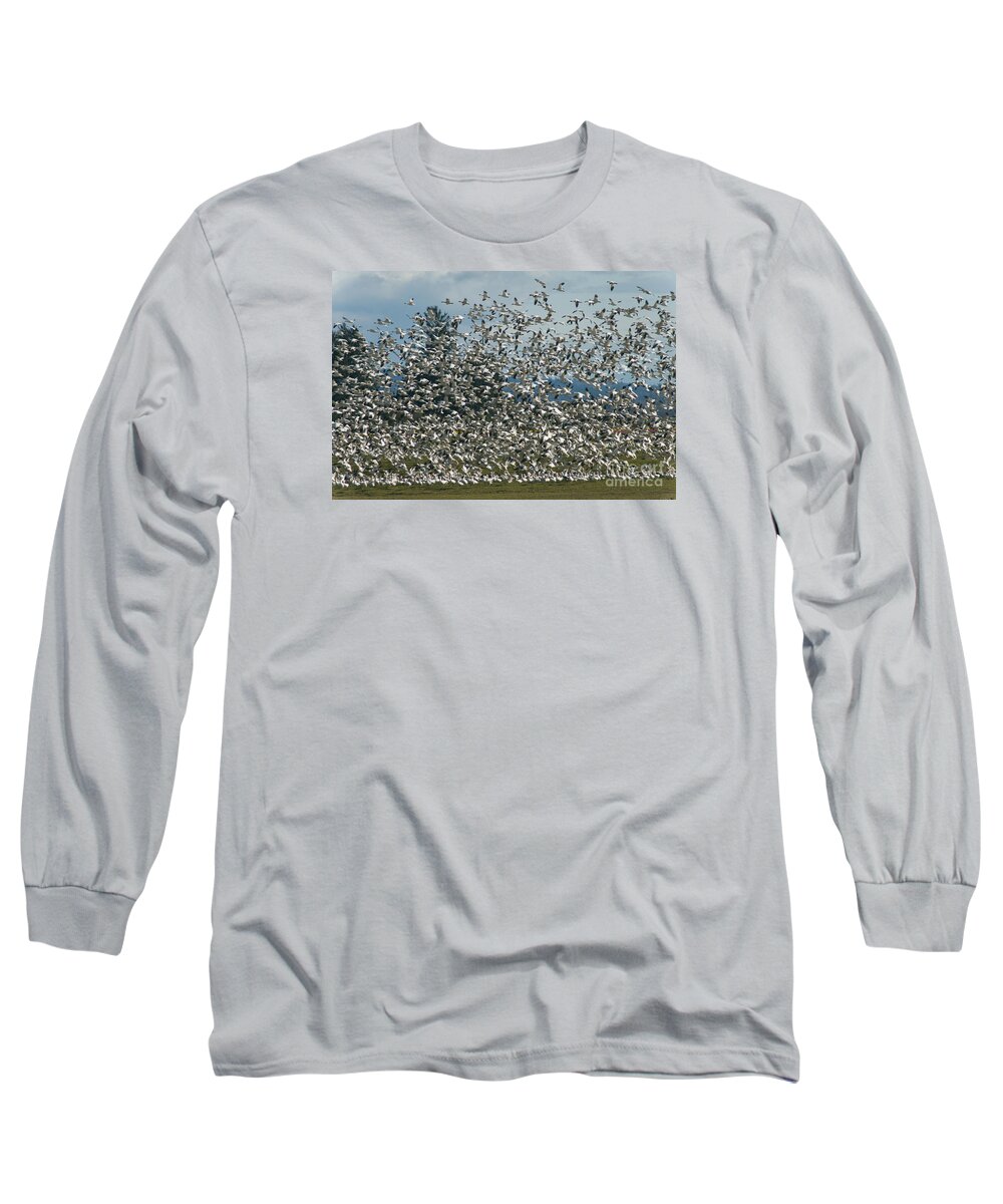 Geese Long Sleeve T-Shirt featuring the photograph Snow Geese Convention by Louise Magno