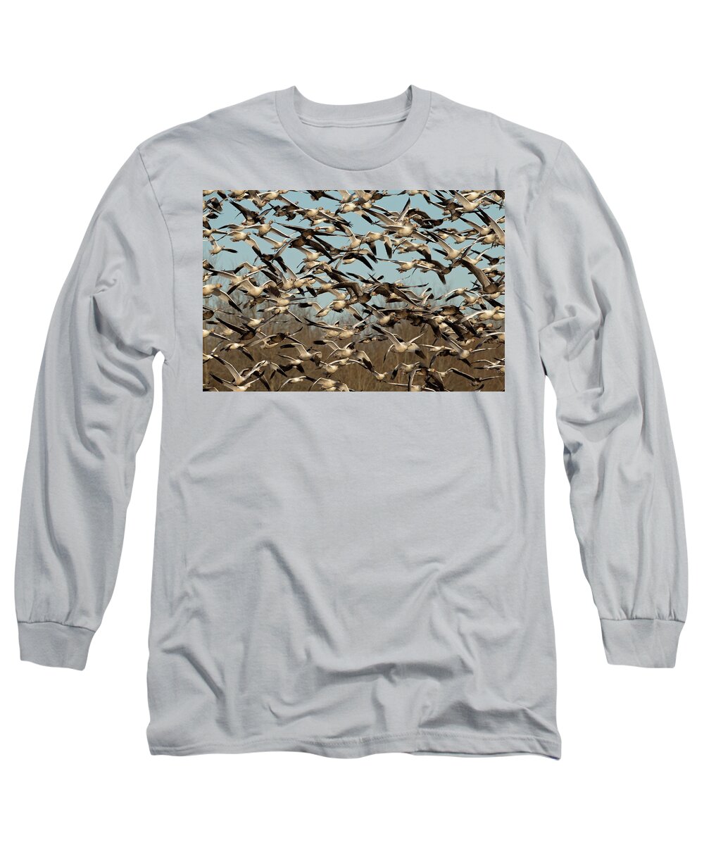 Snow Geese Long Sleeve T-Shirt featuring the photograph Snow Geese by Eilish Palmer