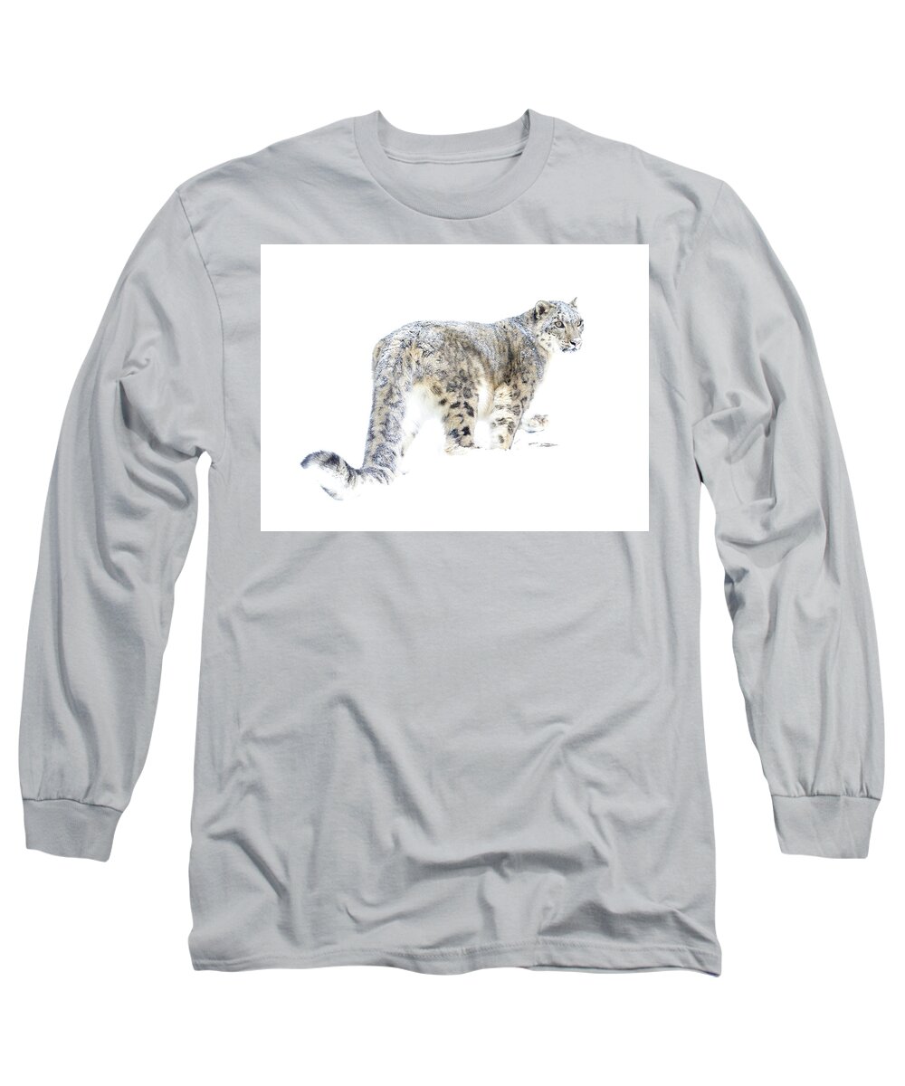 Snow Leopard Long Sleeve T-Shirt featuring the photograph Snow Leopard on White by Steve McKinzie