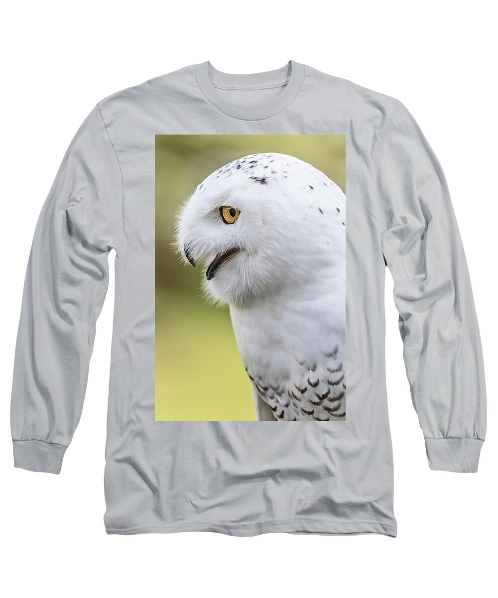 Snowy Long Sleeve T-Shirt featuring the photograph Snowy #2 by Wes and Dotty Weber