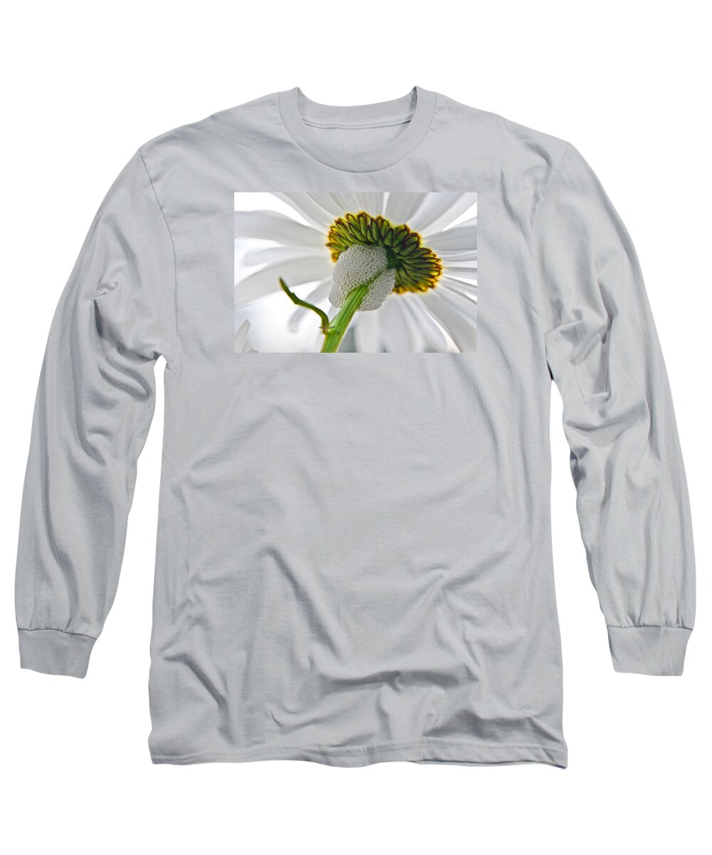 Adria Trail Long Sleeve T-Shirt featuring the photograph Spittle Bug Umbrella by Adria Trail