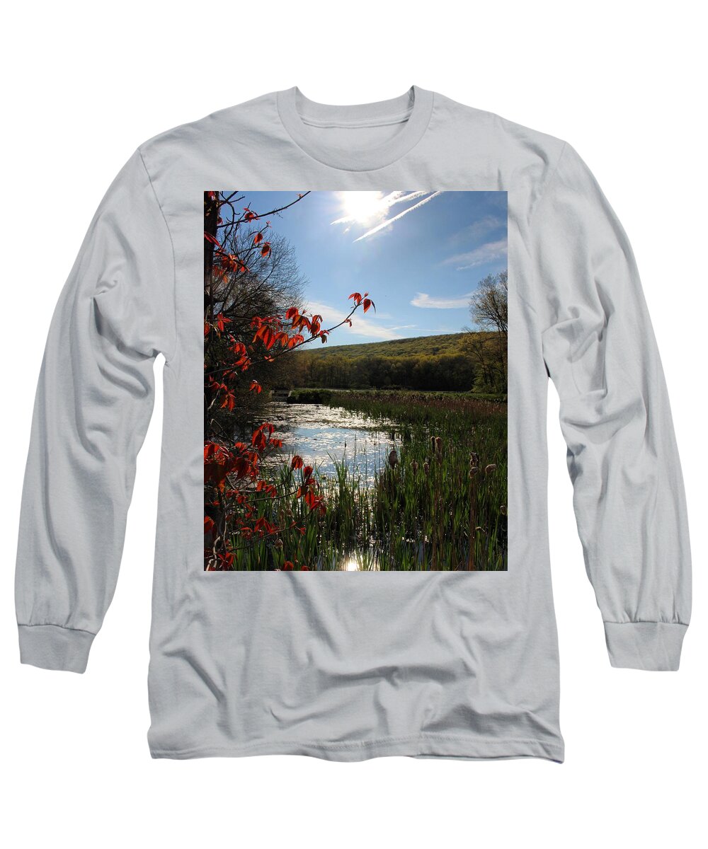 Landscape Long Sleeve T-Shirt featuring the photograph Spring Awakening by Jason Nicholas