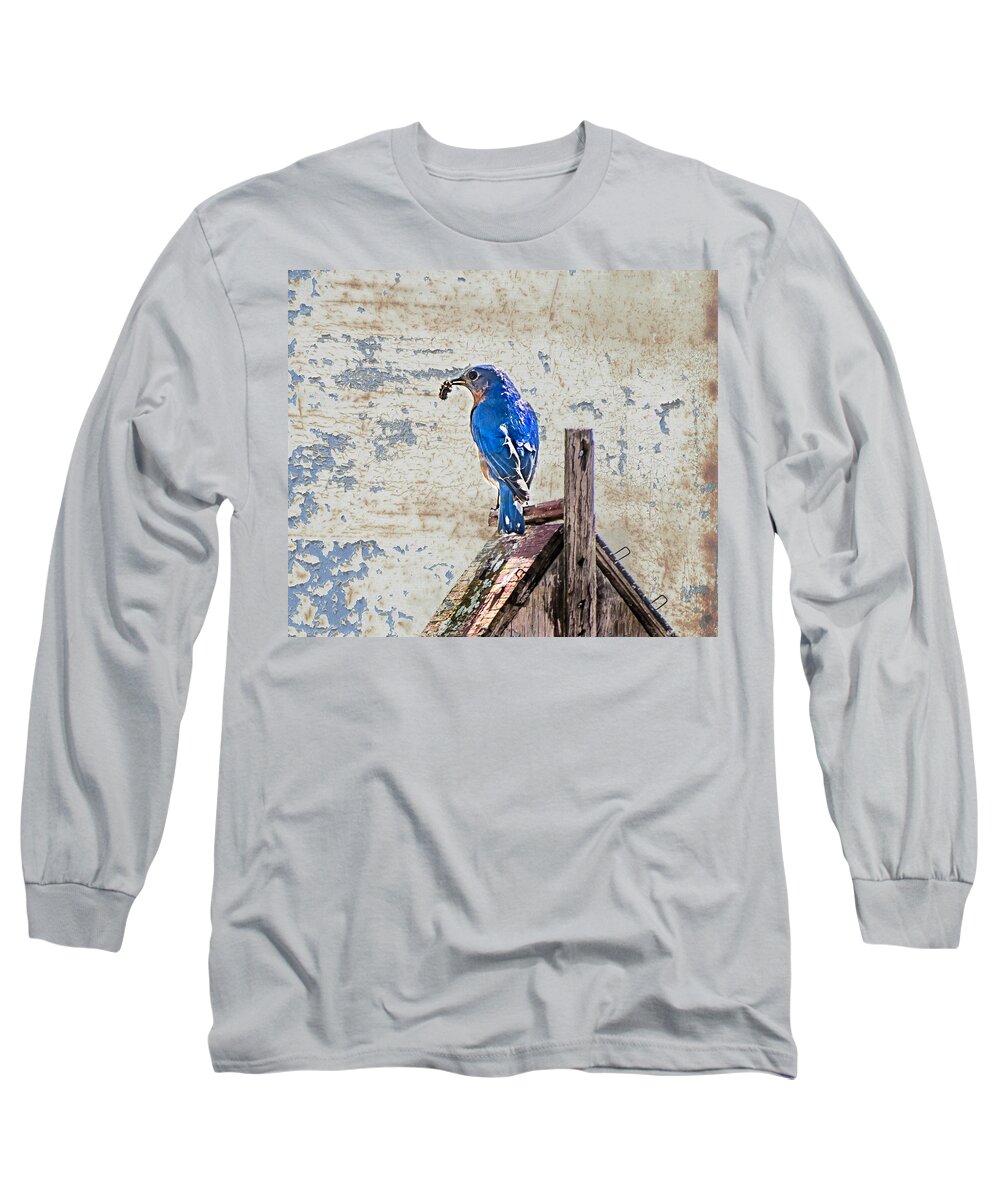 Bluebird Long Sleeve T-Shirt featuring the photograph Springtime in North Carolina, Brunch by Cynthia Wolfe
