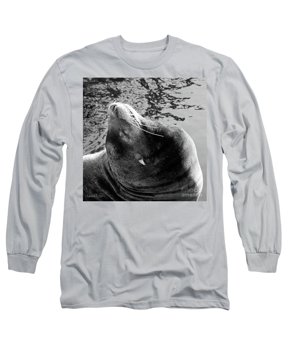 Wildlife Long Sleeve T-Shirt featuring the photograph Stretch, Black and White by Adam Morsa