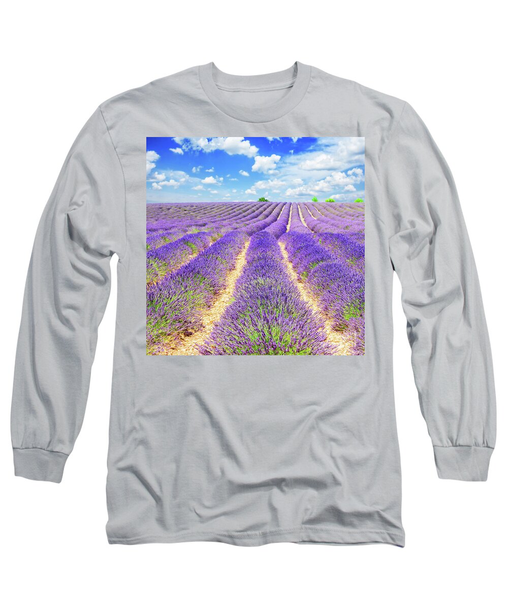Lavender Long Sleeve T-Shirt featuring the photograph Summer in Provence by Anastasy Yarmolovich