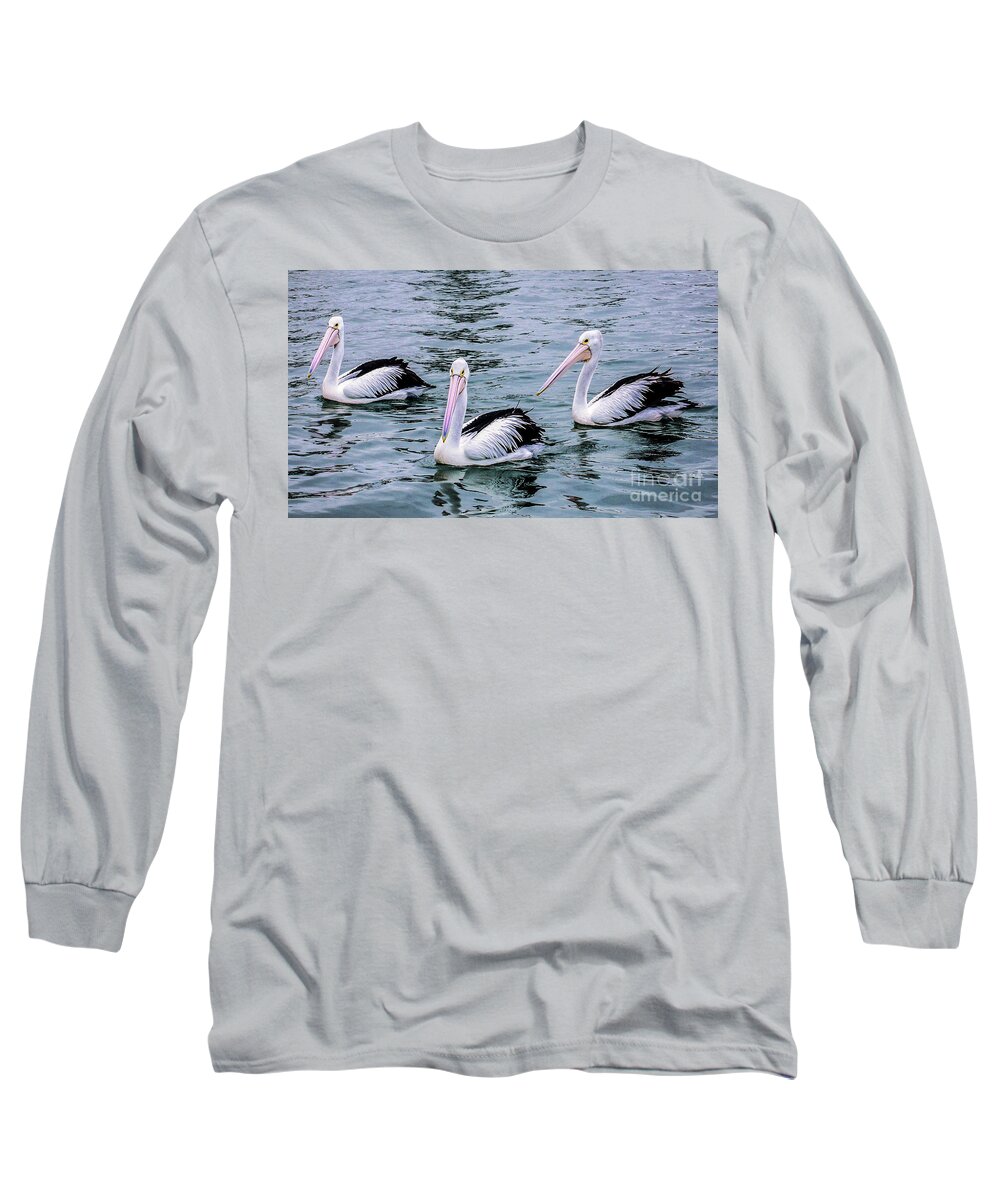 Birds Of The World By Lexa Harpell Long Sleeve T-Shirt featuring the photograph Threes Company by Lexa Harpell