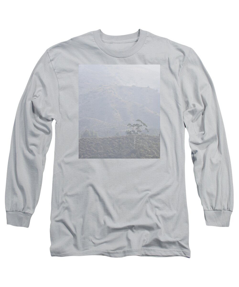 Linda Brody Long Sleeve T-Shirt featuring the photograph Tree in Early Morning Mist by Linda Brody