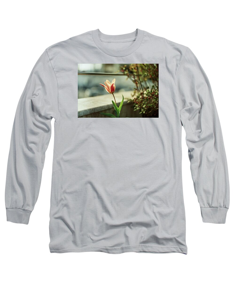 Tulip Long Sleeve T-Shirt featuring the photograph Tulips are amazing by Marina Martynova