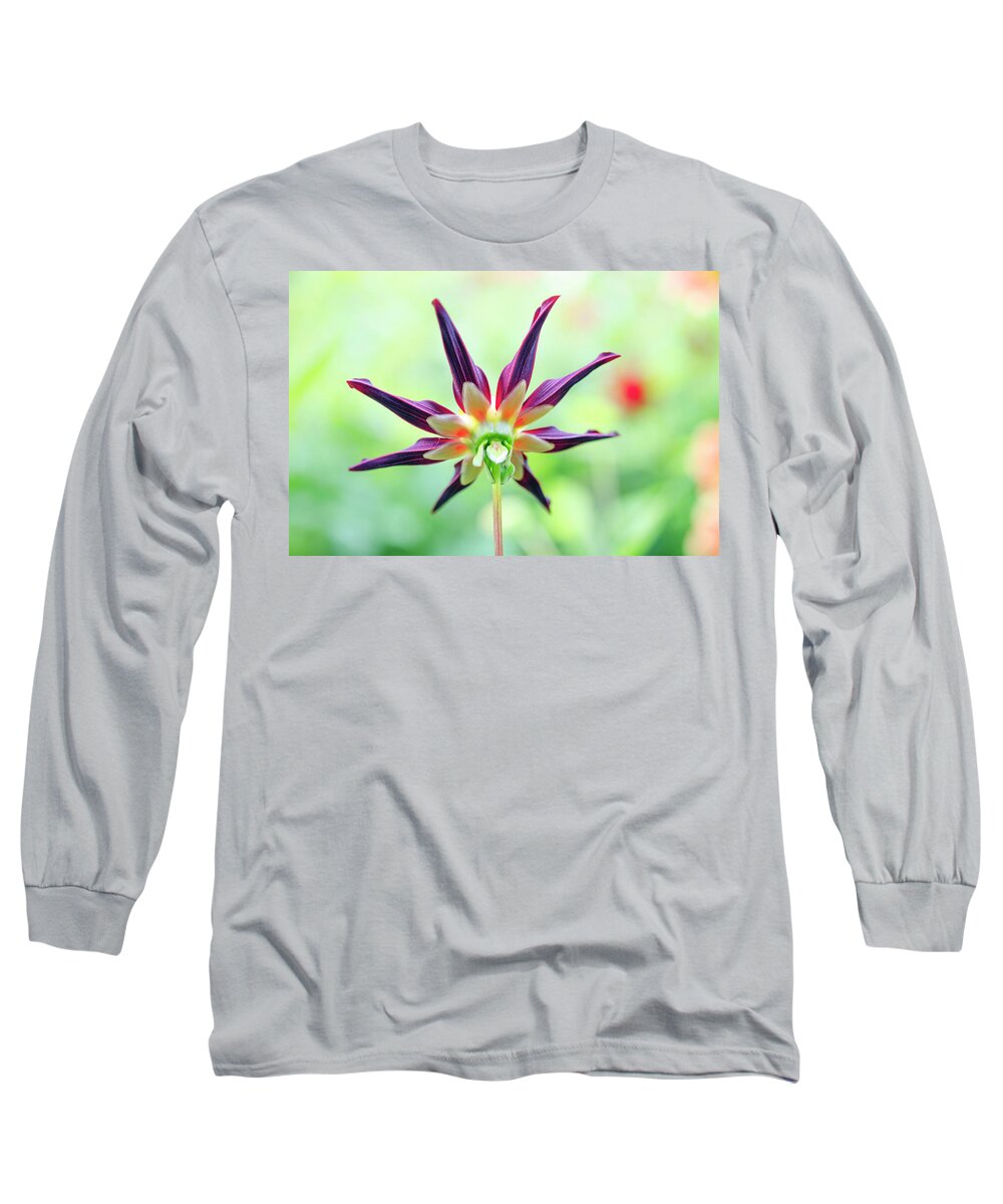 Veronnes Long Sleeve T-Shirt featuring the photograph Veronnes Obsidian Backside by Kathy Paynter