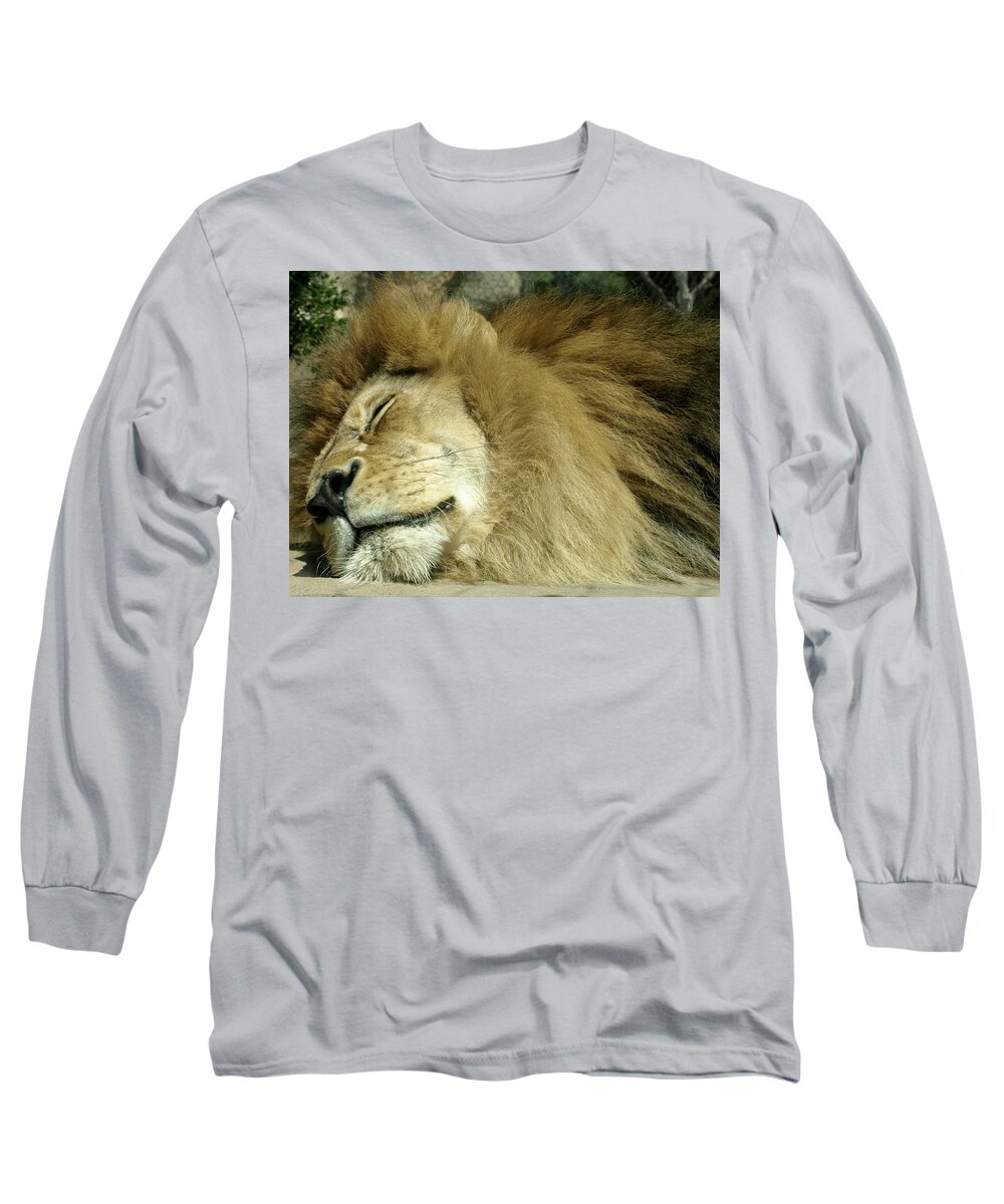 Lion Long Sleeve T-Shirt featuring the photograph We All Like to Pass as Cats by Gia Marie Houck