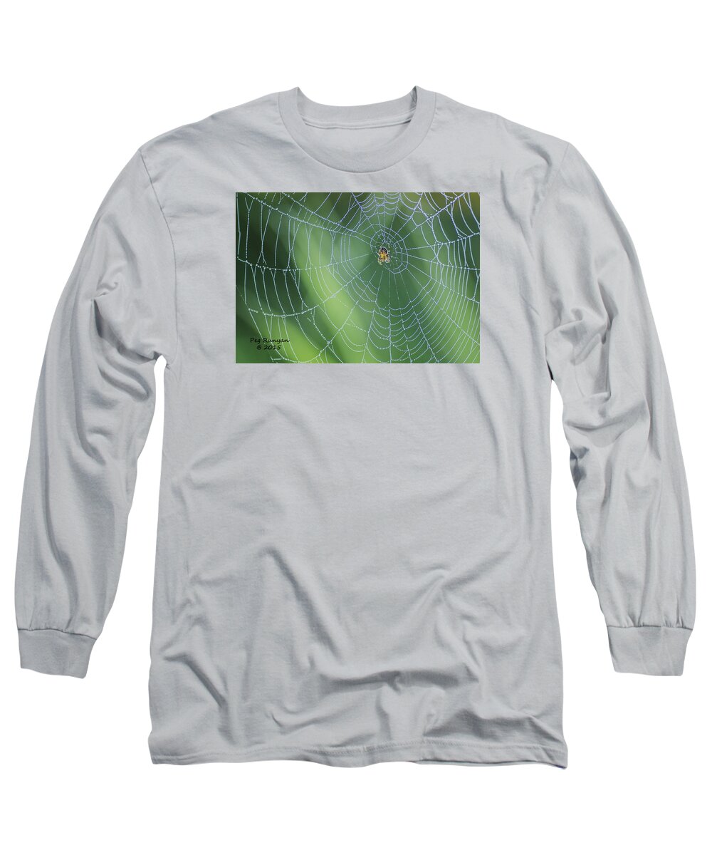 Spider Long Sleeve T-Shirt featuring the photograph Webmaster by Peg Runyan