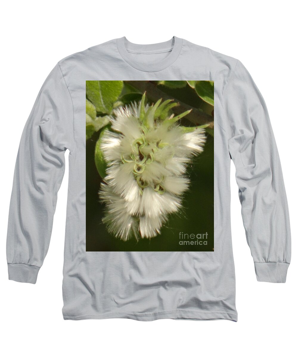 Spring Long Sleeve T-Shirt featuring the photograph Welcome spring by Karin Ravasio