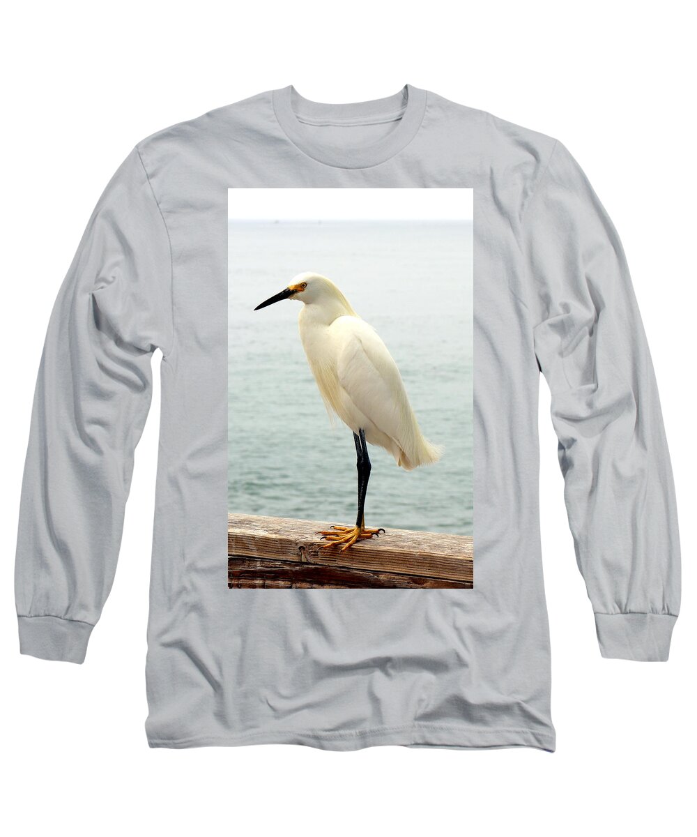 White Long Sleeve T-Shirt featuring the photograph White Egret Photograph by Kimberly Walker