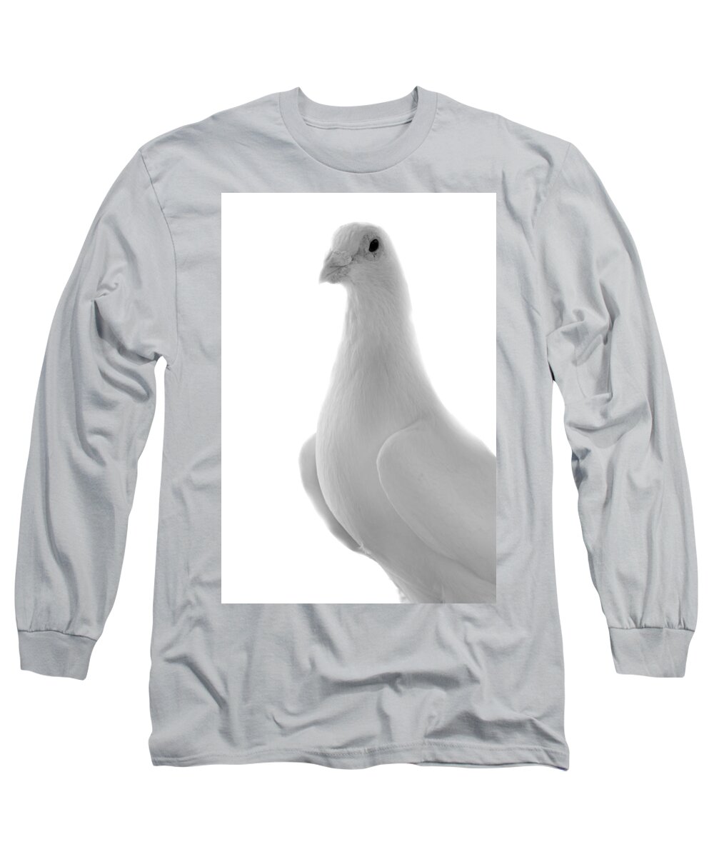 Bird Long Sleeve T-Shirt featuring the photograph White Homing Pigeon by Nathan Abbott