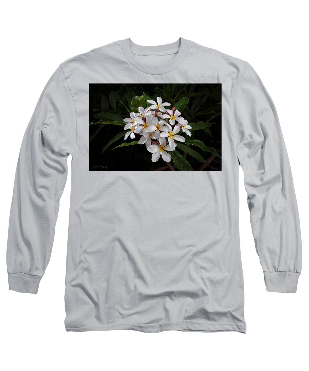White Petals Long Sleeve T-Shirt featuring the photograph White Plumerias in Bloom by John A Rodriguez