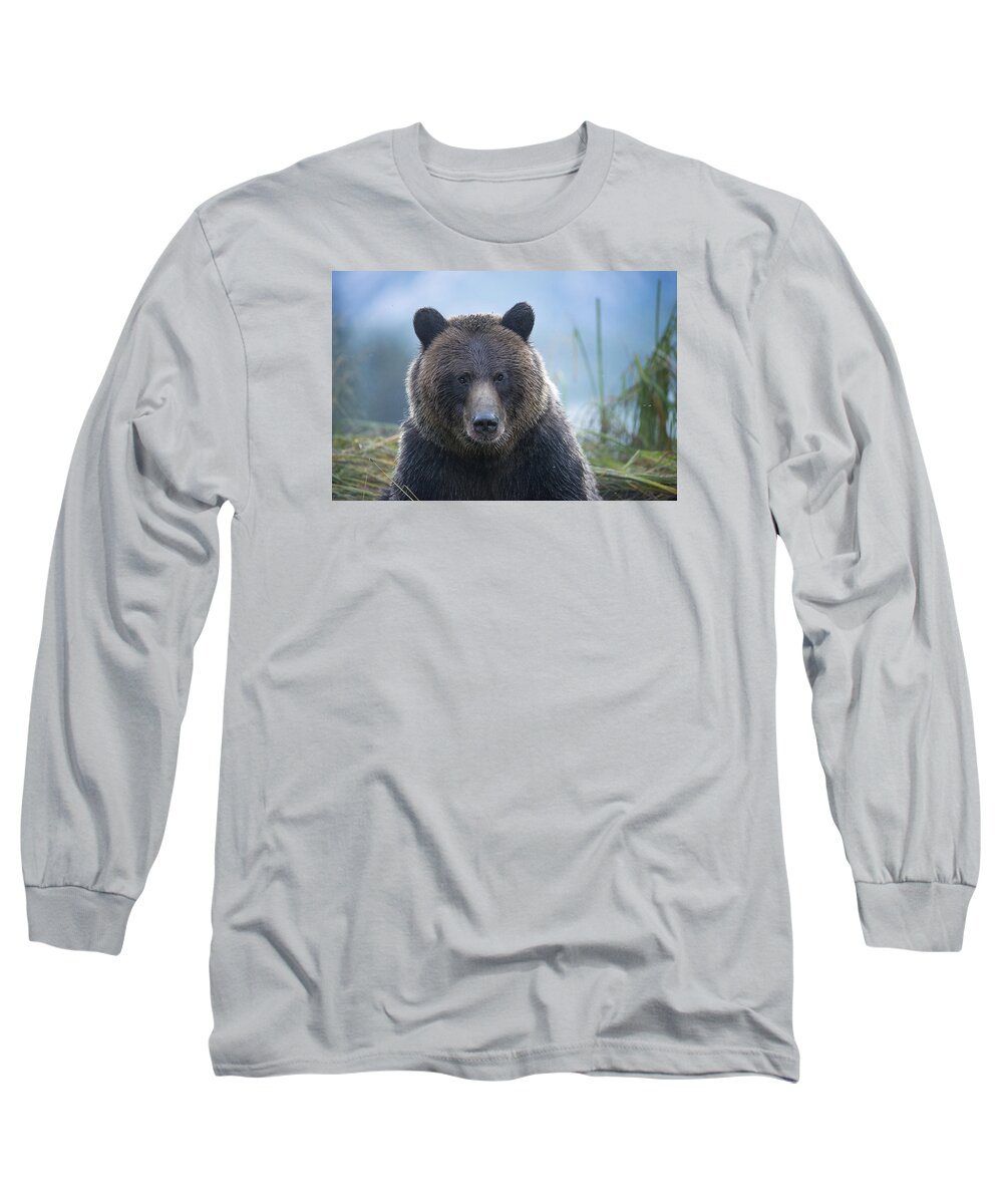 Bear Long Sleeve T-Shirt featuring the photograph Who Me by Bill Cubitt