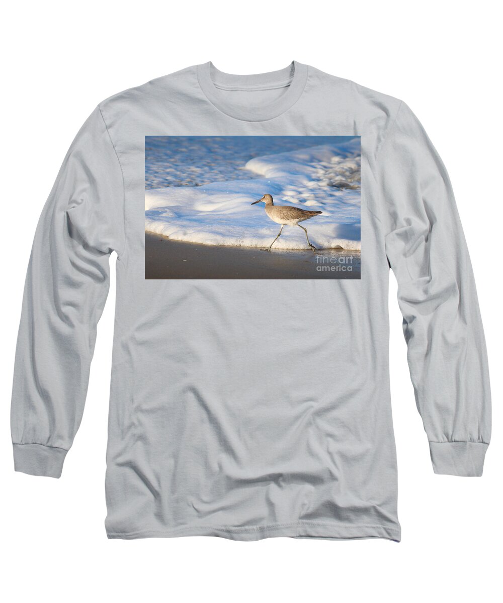 Willet Long Sleeve T-Shirt featuring the photograph Willet Stride by Karin Everhart