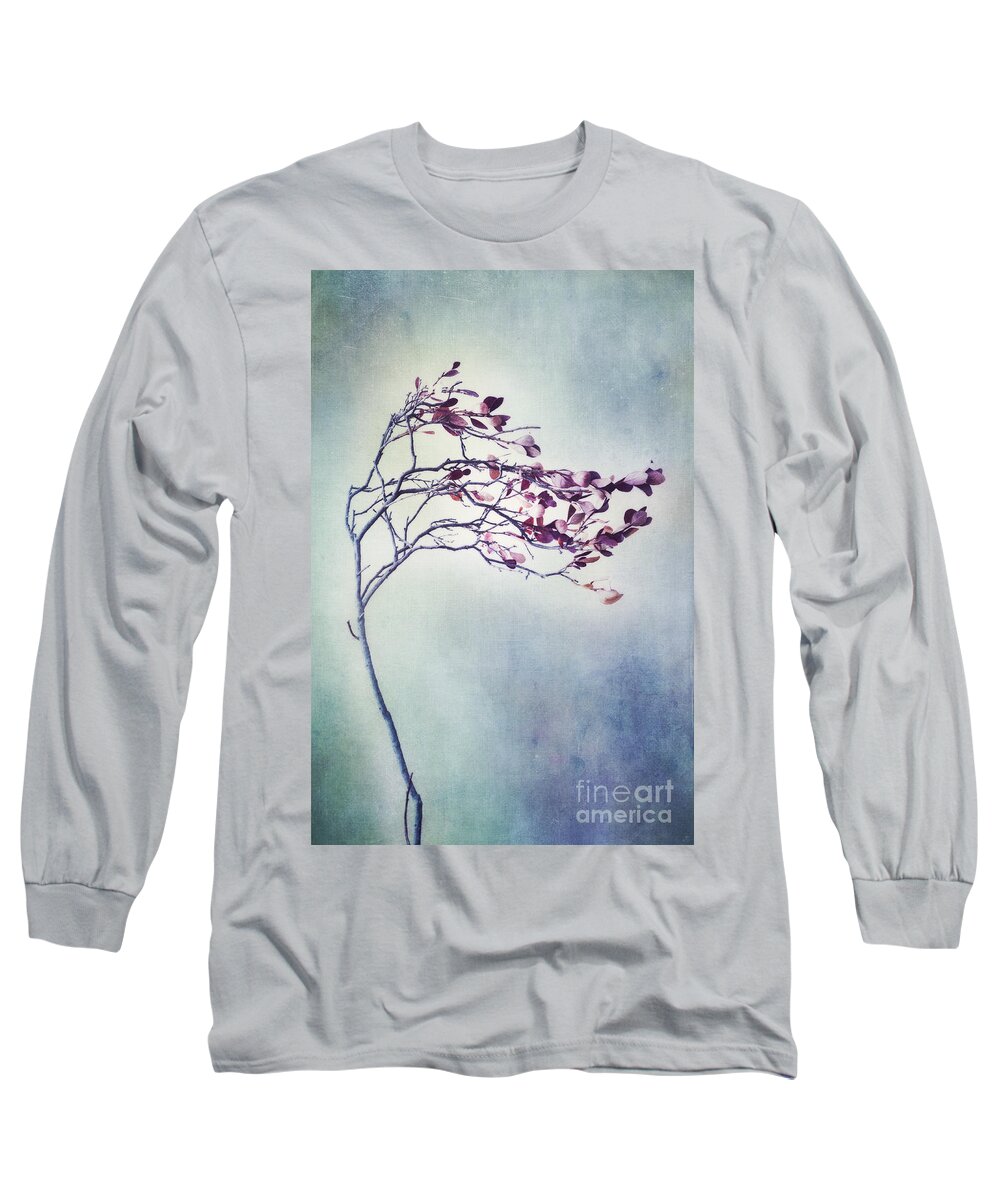 Blueberry Branch Long Sleeve T-Shirt featuring the photograph Windswept by Priska Wettstein