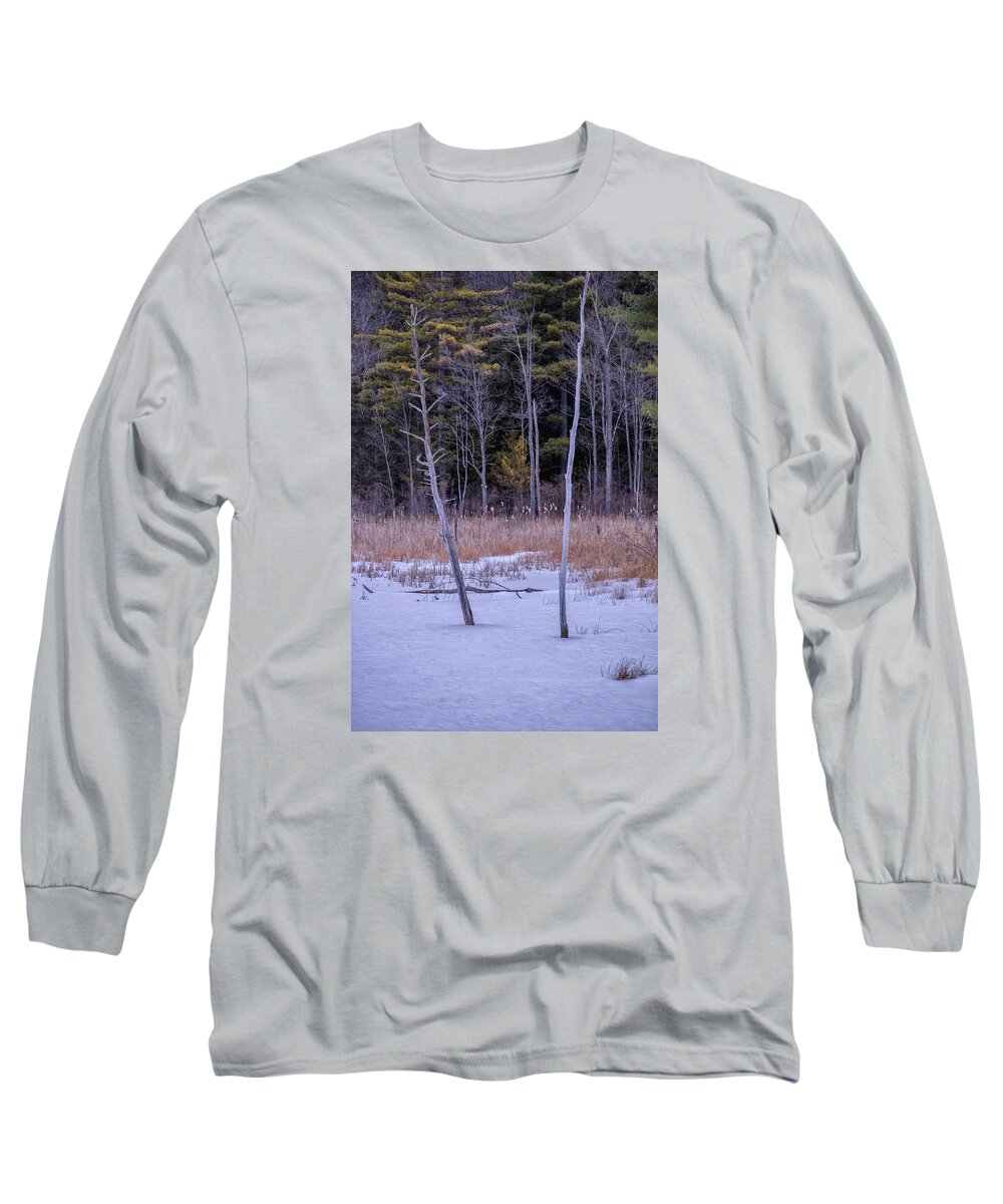 Spofford Lake New Hampshire Long Sleeve T-Shirt featuring the photograph Winter Marsh And Trees by Tom Singleton