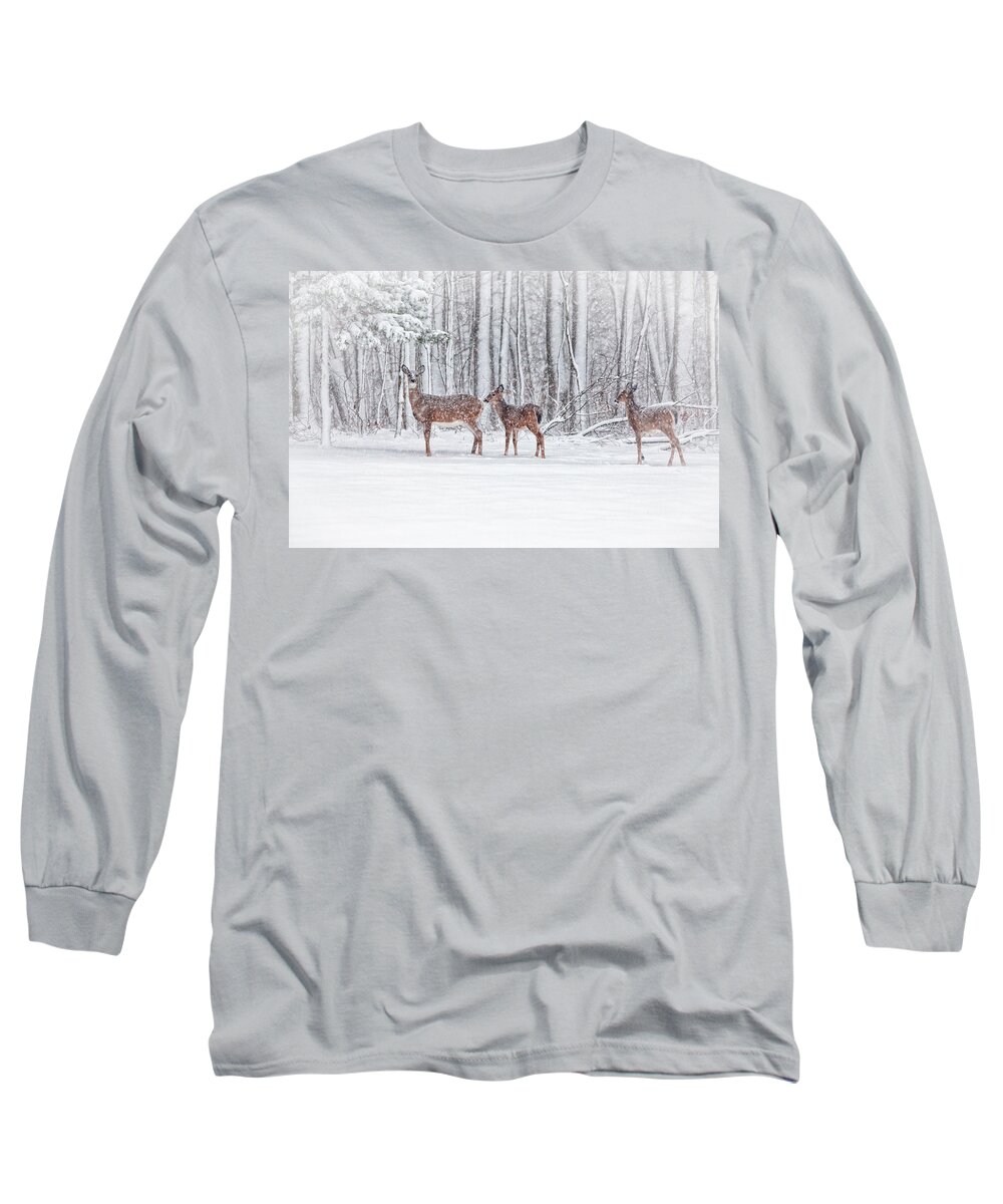 Deer Long Sleeve T-Shirt featuring the photograph Winter Visits by Karol Livote