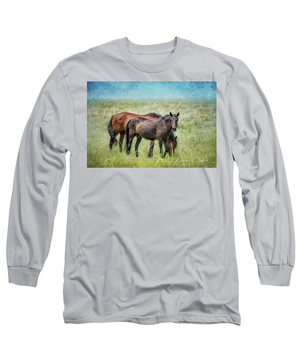  Long Sleeve T-Shirt featuring the photograph Osage Horses #2 by Jolynn Reed