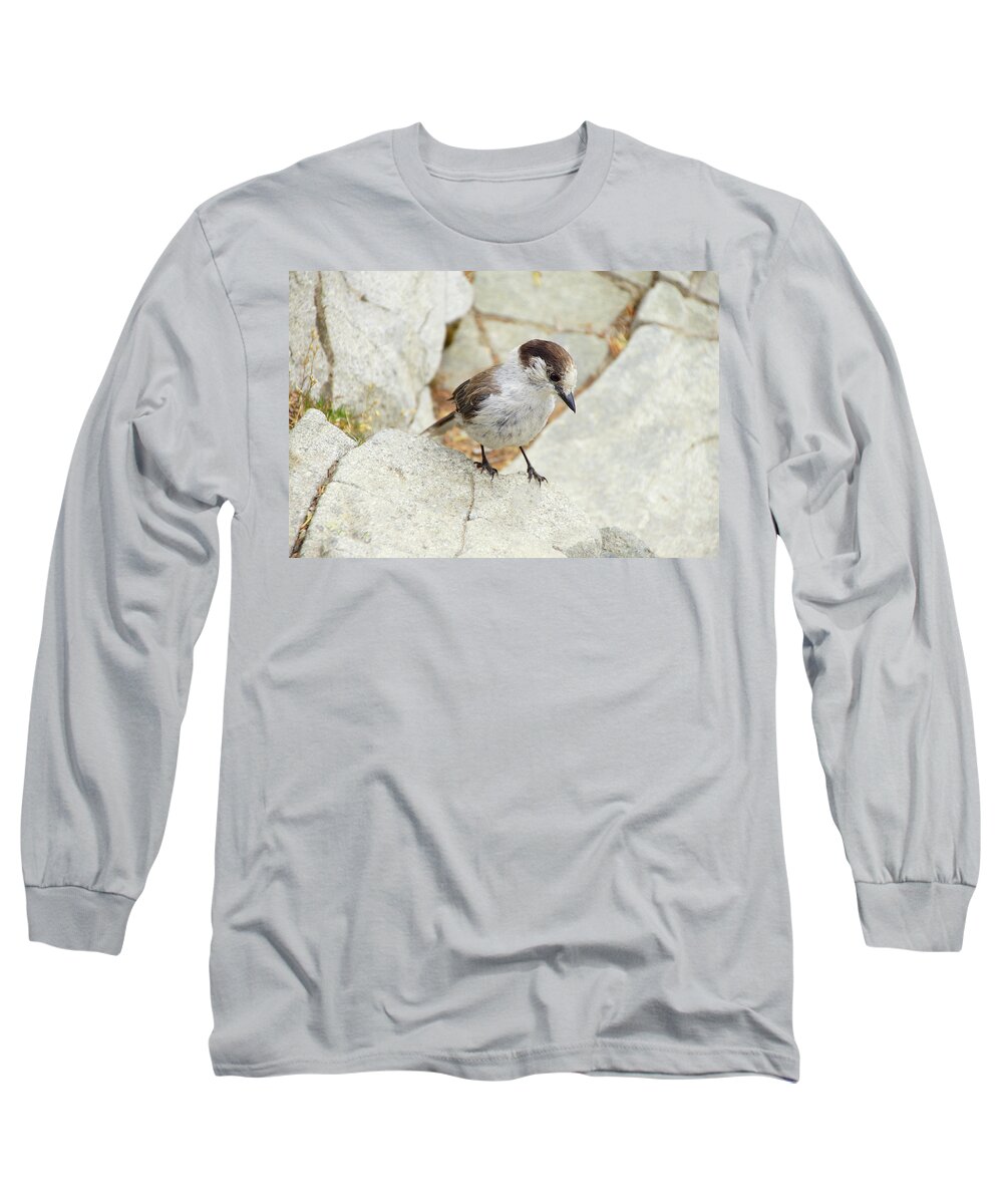 Jay Long Sleeve T-Shirt featuring the photograph Camprobber - the Gray Jay #4 by Steve Estvanik