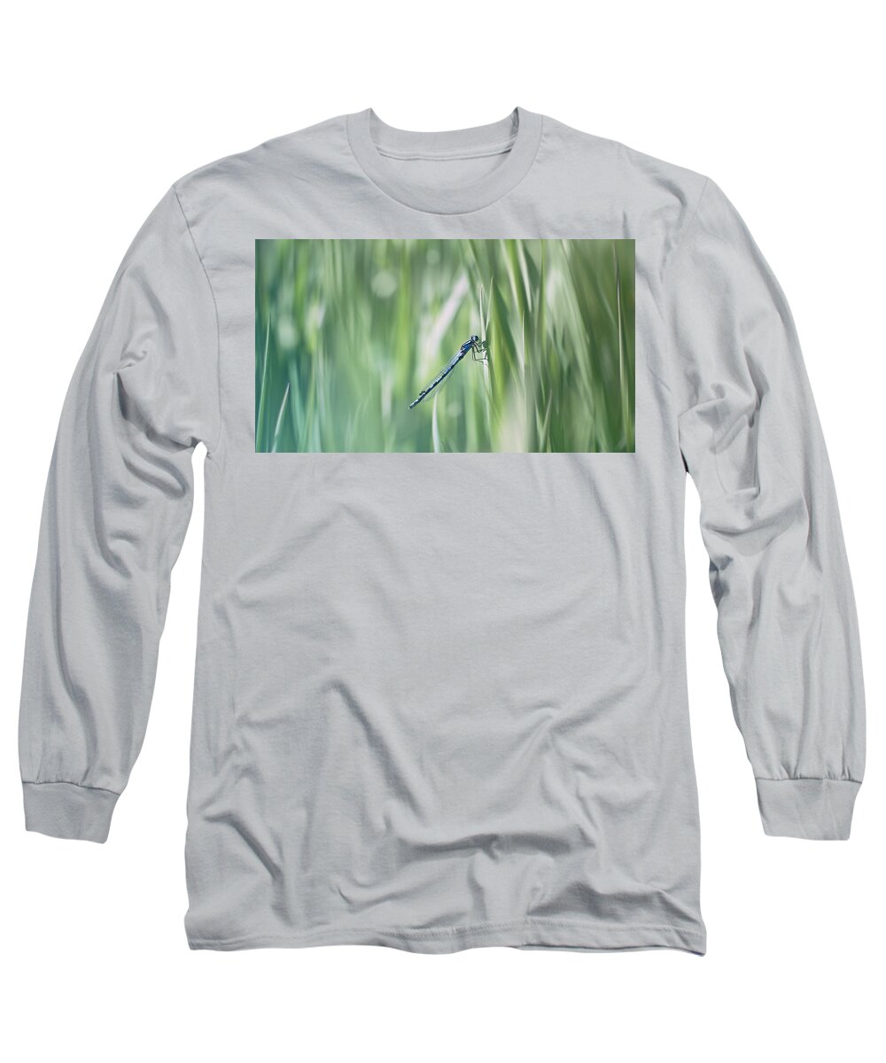 Dragonfly Long Sleeve T-Shirt featuring the photograph Around The Meadow 8 by Jaroslav Buna