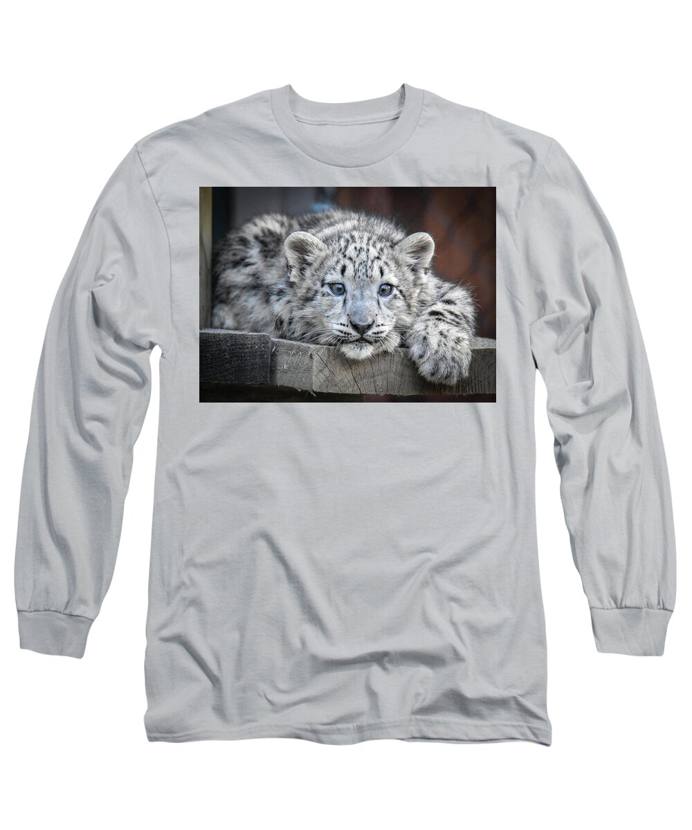 Tiger Long Sleeve T-Shirt featuring the photograph Blue Eyed Tiger Cub by Michelle Wittensoldner