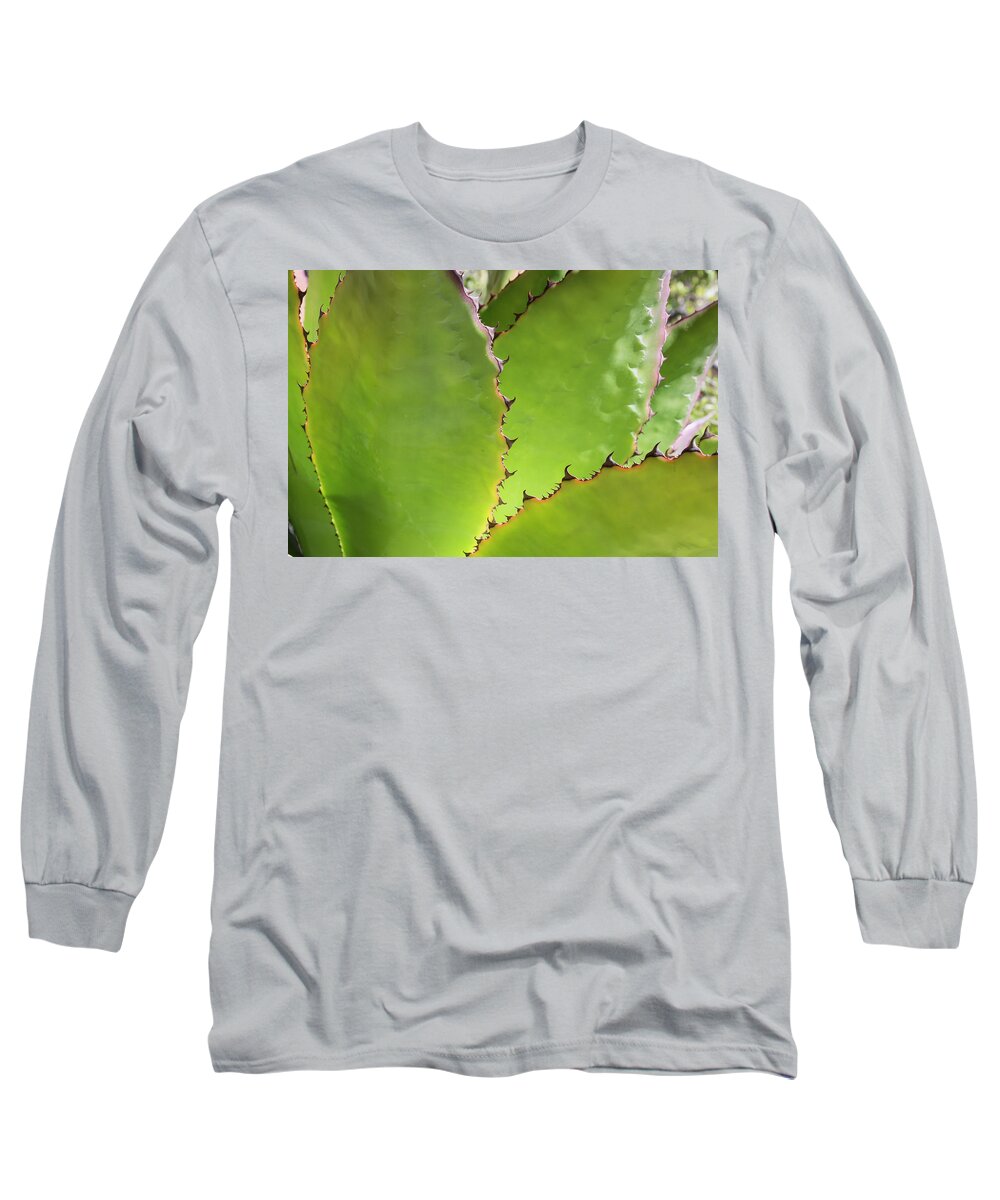 © 2015 Lou Novick All Rights Reserved Long Sleeve T-Shirt featuring the photograph Cactus 2 by Lou Novick